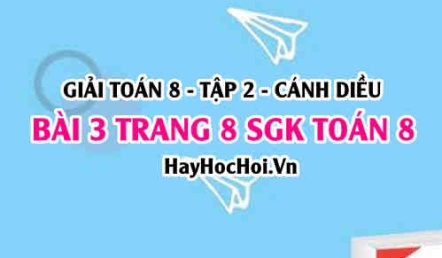 Bài 3 trang 8 Toán 8 Tập 2 Cánh Diều